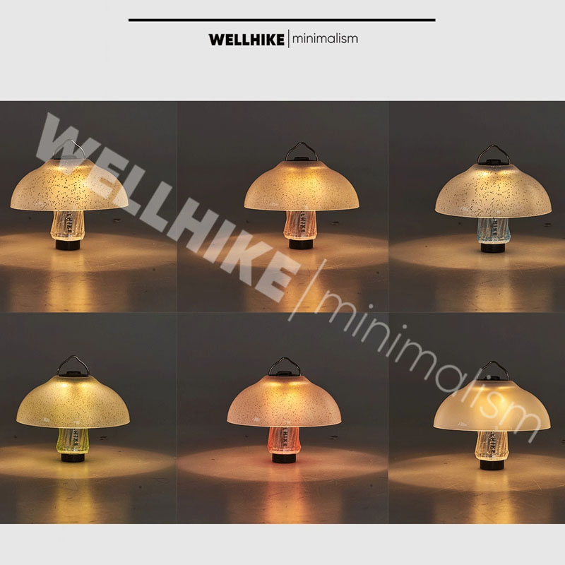 WELLHIKE Outdoor Starry Mantle - Camping Cooking Utensil Holder recension och pris