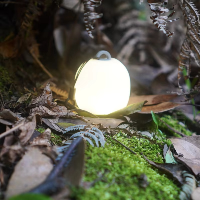Mini Egg-Shaped Squeeze Silico - Camping Cooking Utensil Holder recension och pris